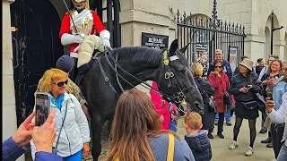 BOY SCREAMS AS MASSIVE HORSE Q10 BITES HIS HEAD! Parents are at fault at Horse Guards!