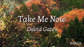 Take Me Now - David Gates (Lyrics)