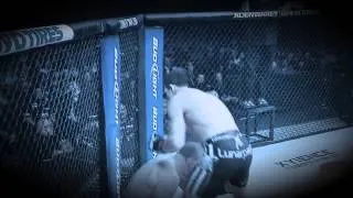 UFC 173 : Lawler Vs Ellenberger