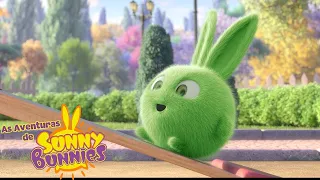 Gangorra | As Aventuras de Sunny Bunnies | Desenhos Animados Infantis