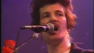 Mink DeVille - Steady Drivin' Man