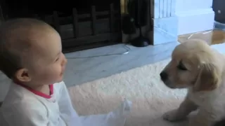 Baby and Puppy meet for the first time!