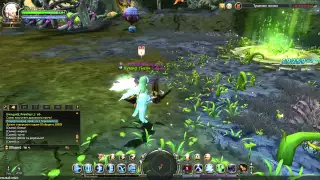 Dragon Nest RuOff Mist Nest Squirrel! Белка в Туманном логове