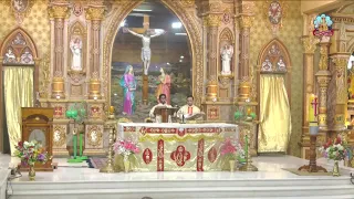 🔴 Live - 19 April 2024 @ Vailankanni Shrine Basilica