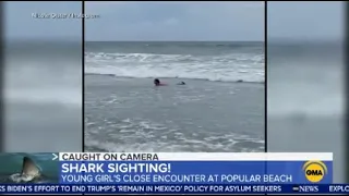 Video shows shark swim next to 11-year-old girl at Myrtle Beach | ABC7