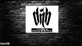 Classic Old Skool Jungle Drum and Bass Mix #9.1 Shy FX / Aphrodite / DJ Hype / Congo Natty / DJ Die