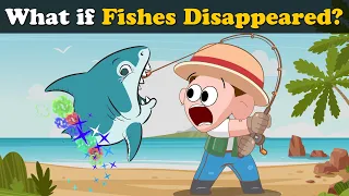 What if Fishes Disappeared? + more videos | #aumsum #kids #science #education #children