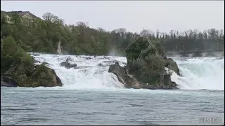 Rhine falls