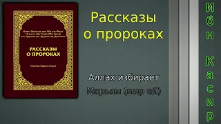 Аллах избирает Марьям мир ему