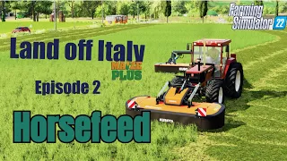 Creating Massive Hay Bales In Italy: Mowing, Bailing, And Making Mega Bales!