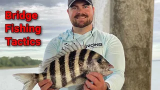 The Best Bridge Fishing Tactics And Biggest Mistakes To Avoid
