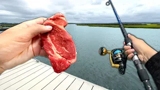 Using STEAK as Bait.. Does it Work?? (Catch and Cook)