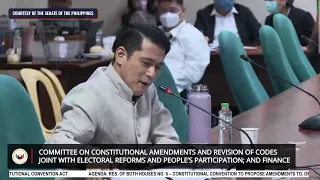 Senate committee hearing on constitutional amendments