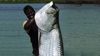 World's Biggest Tarpon Ever Caught