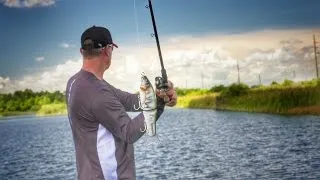 Glide Bait Tips for Finding and Triggering Bass