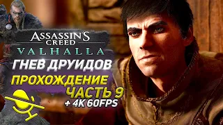 УДРУЖИТЬ КОРОЛЯМ ➤ Assassin's Creed Valhalla ГНЕВ ДРУИДОВ ➤ Прохождение DLC #9 ➤ PS5