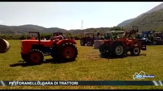 Pettoranello, gara di trattori