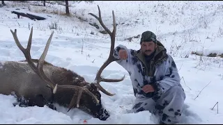 Охота на марала. Восточно-Казахстанская область. Maral stag hunting in the East Kazakhstan region.