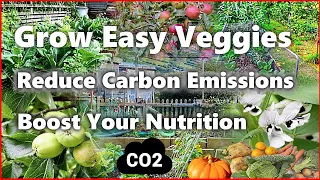#HowTo Boost Your #Nutrition and Take Action Against #Climate Change
