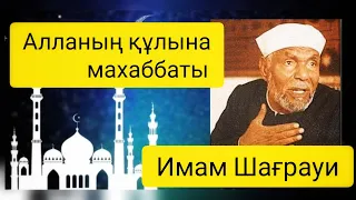 Алланың құлына махаббаты. Құдси хадис   шейх Имам Шағрауи