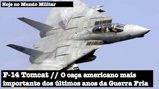 F-14 Tomcat - O caça americano mais importante dos últimos anos da Guerra Fria