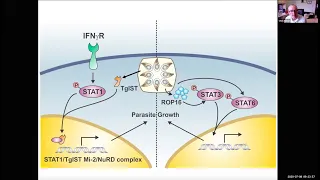 "Limiting Infection-Induced Inflammation" by Dr. Christopher Hunter