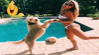 Funny Dogs And Cats Videos 😜 Funniest animals 2024😂 try not to laugh 🤣