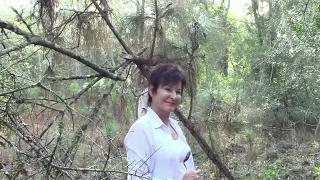 Marie Dumont Takes us into the GreenSwamps of Florida in search of SkunkApe! #Paranormal #Bigfoot