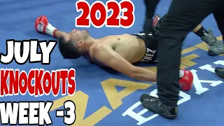 MMA & Boxing Knockouts I July 2023 Week 3