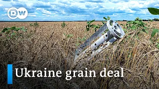 EU strikes deal to end import ban on Ukrainian grain | DW News