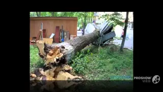 Арбористика - Удаление Аварийных Деревьев в Коломне