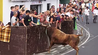 Ganadaria RB - Festas Vila Nova 2022 - Ilha Terceira - Açores - Portugal