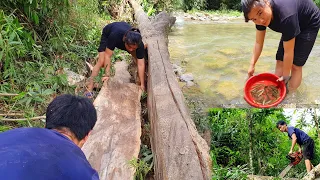 Cutting wood to prepare to build a new house in the forest -Ep2.  The Strange Way of Fishing.