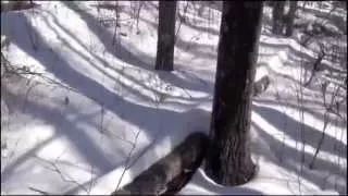 the "Bigfoot Track-way In The Snow" video