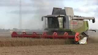 Wheat Harvest - Claas Lexion 580 - Harvest 2014