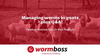 Worm control in goats