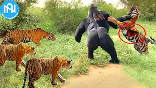 50 Tragic Moments! When Animals Messed With The Wrong Opponent - When Animals Go On A Rampage! #8