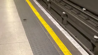 Two Little Rats in the London Underground, England. 🐀🐀 💺🚇