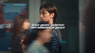 dino — wait | türkçe çeviri