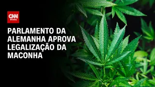 Parlamento da Alemanha aprova legalização da maconha | BRASIL MEIO-DIA