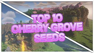 The Top 10 Best Cherry Grove Seeds | Minecraft Seed Showcase