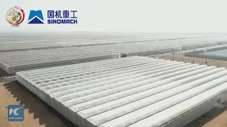 China's greenhouse technologies turn Egypt's desert green