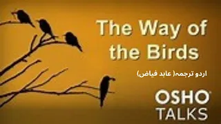 پرندوں کا راستہ"The way of the birds" osho on ZEN اردو ترجمہ عابد فیاض