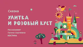 Сказка "Улитка и розовый куст"