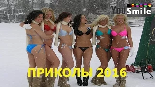 Лучшие Приколы 2016, #103 Смотреть видео приколы 2016 лучшее Смешное видео новое 2016