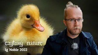 Dlaczego kaczki gęsiego? Ignobel z Fizyki 2022 | Czytamy naturę