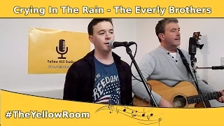 Crying In The Rain - Everly Brothers (Cover) - The Yellow Room