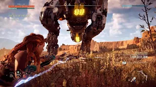 Lvl 16 Thunderjaw kill (shock arrow only)