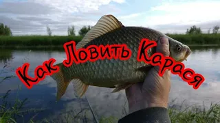 Как Поймать Карася в любое время.Секреты ловли карася.