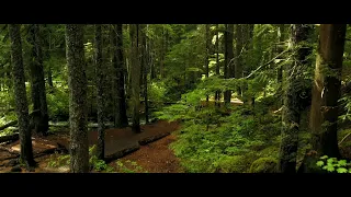 B-Roll  4K  || Nature drone footage || sounds and aesthetic ||